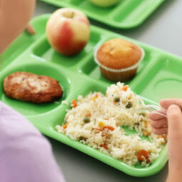 School Trays