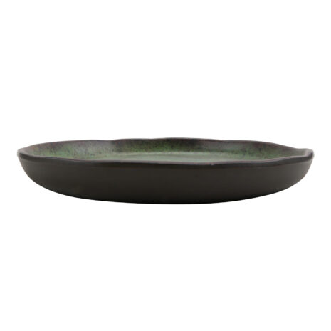 20009-SP-3 20009-SP-c