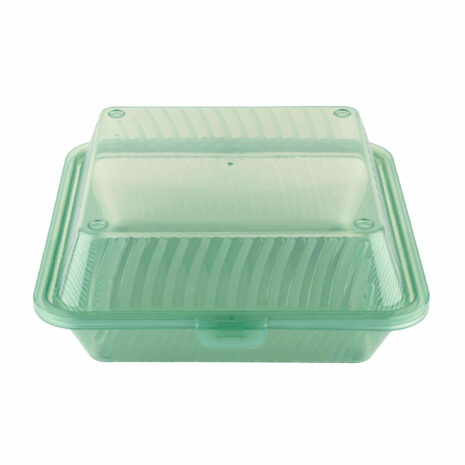 Eco-Takeouts Reusable To-Go Container