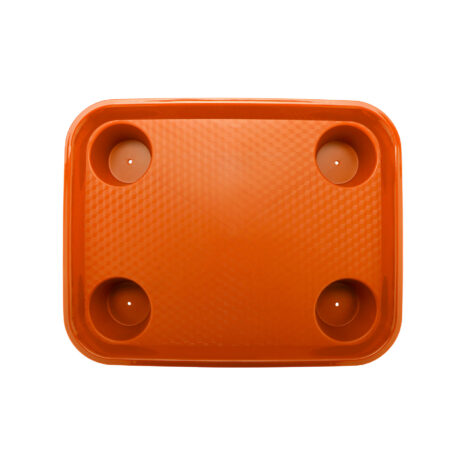 FT-20-OR-1 FT-20-OR-b