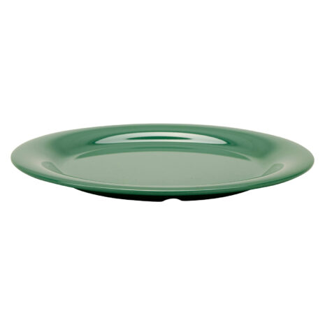 NP-10-FG-3 NP-10-FG-c