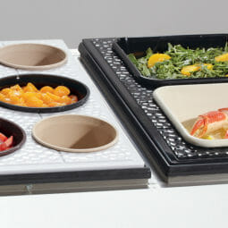 Buffet Enhancements Cold Display Pan Rectangular Divided Insert