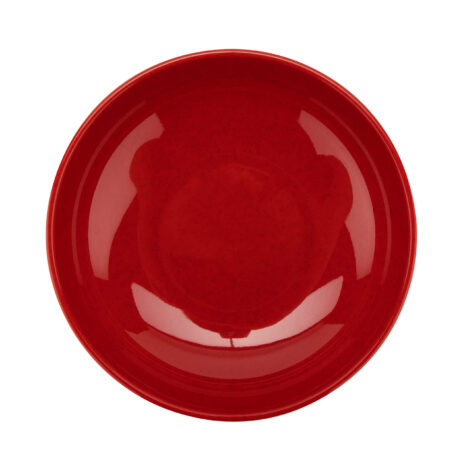 B-49-RSP-1 B-49-RSP-b