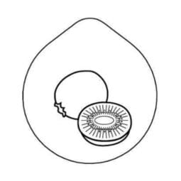 7231922 - ACCESSOIRE Laser-engraving 'Kiwi' Lid for Carafe CARAFINE, Motif 'Kiwi' Stainless Steel