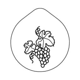 7231909 - ACCESSOIRE Laser-engraving 'Grape' Lid for Carafe CARAFINE, Motif 'Grape' Stainless Steel
