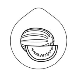 7231923 - ACCESSOIRE Laser-engraving 'Water Melon' Lid for Carafe CARAFINE, Motif 'Water Melon' Stainless Steel