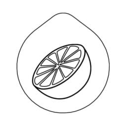 7231910 - ACCESSOIRE Laser-engraving 'Grapefruit' Lid for Carafe CARAFINE, Motif 'Grapefruit' Stainless Steel