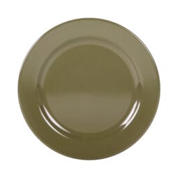 D1175PL-LIZ - Melamine Round Rim Plate - Lizard