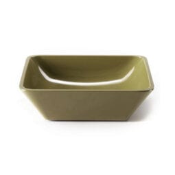 M10SQ-LIZ - Melamine Square Bowl - Lizard