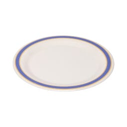NP-10-BY - 10.5" Narrow Rim Plate, DISNEY BLUE/YELLO