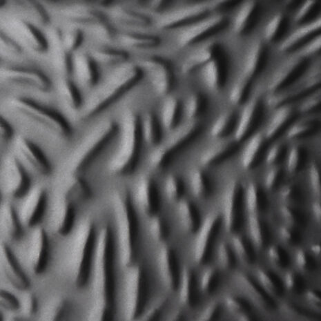 31804d62301b7f9c16ea56991d8ee87b14460622.jpg 31804d62301b7f9c16ea56991d8ee87b14460622.jpg
