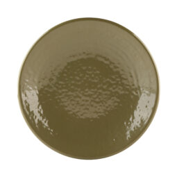 D638RR-LIZ - Melamine Round Pebble Plate - Lizard