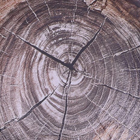 616641d193146c9f1866c7b8277bbacbae4cc91a.jpg 616641d193146c9f1866c7b8277bbacbae4cc91a.jpg