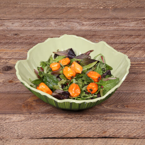 a8f898e88f90c3be5d09e0bbf68fd239a82ec489.jpg a8f898e88f90c3be5d09e0bbf68fd239a82ec489.jpg