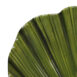 c8cbe6e280ba244ff7e4867ab3f0f37d0c9ce1d1.jpg