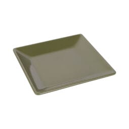 D99SQ-LIZ - Melamine Square Plate - Lizard