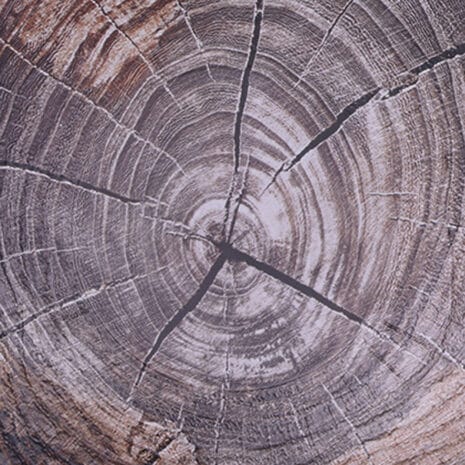 e48ec1a63b4344ea8751608baf074b7b836b7896.jpg e48ec1a63b4344ea8751608baf074b7b836b7896.jpg