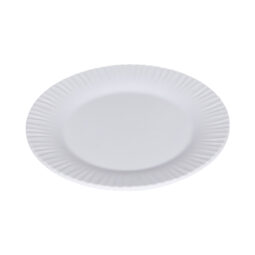 WP-8-RMM-W - 8" x .78" H Wide Rim Plate Matte Finish, White, G.E.T. Riva Maris