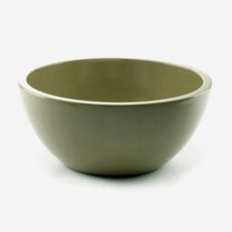 M1225R5-LIZ - Melamine Round Bowl - Lizard