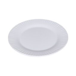 WP-9-RMM-W - 9" x .88" H Wide Rim Plate Matte Finish, White, G.E.T. Riva Maris