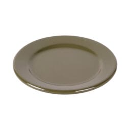 D612PL-LIZ - Melamine Round Rim Plate - Lizard