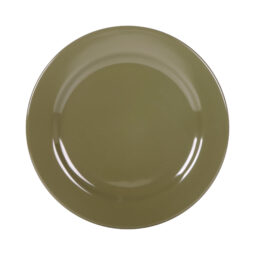 D1075PL-LIZ - Melamine Round Rim Plate - Lizard